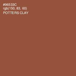 #96533C - Potters Clay Color Image